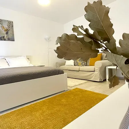 Appartement Bartolomeu Serenity W. Free Parking Braşov