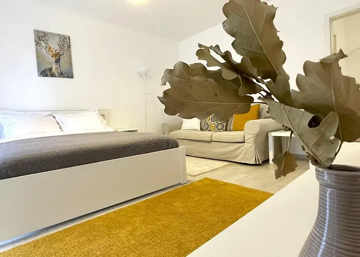 Апартаменты Bartolomeu Serenity W. Free Parking Брашов